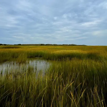 7 Person In Fano-by Traum * Фанё