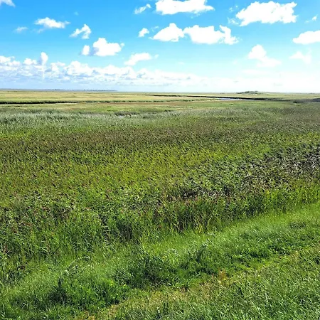 Дом отдыха 7 Person In Fano-by Traum